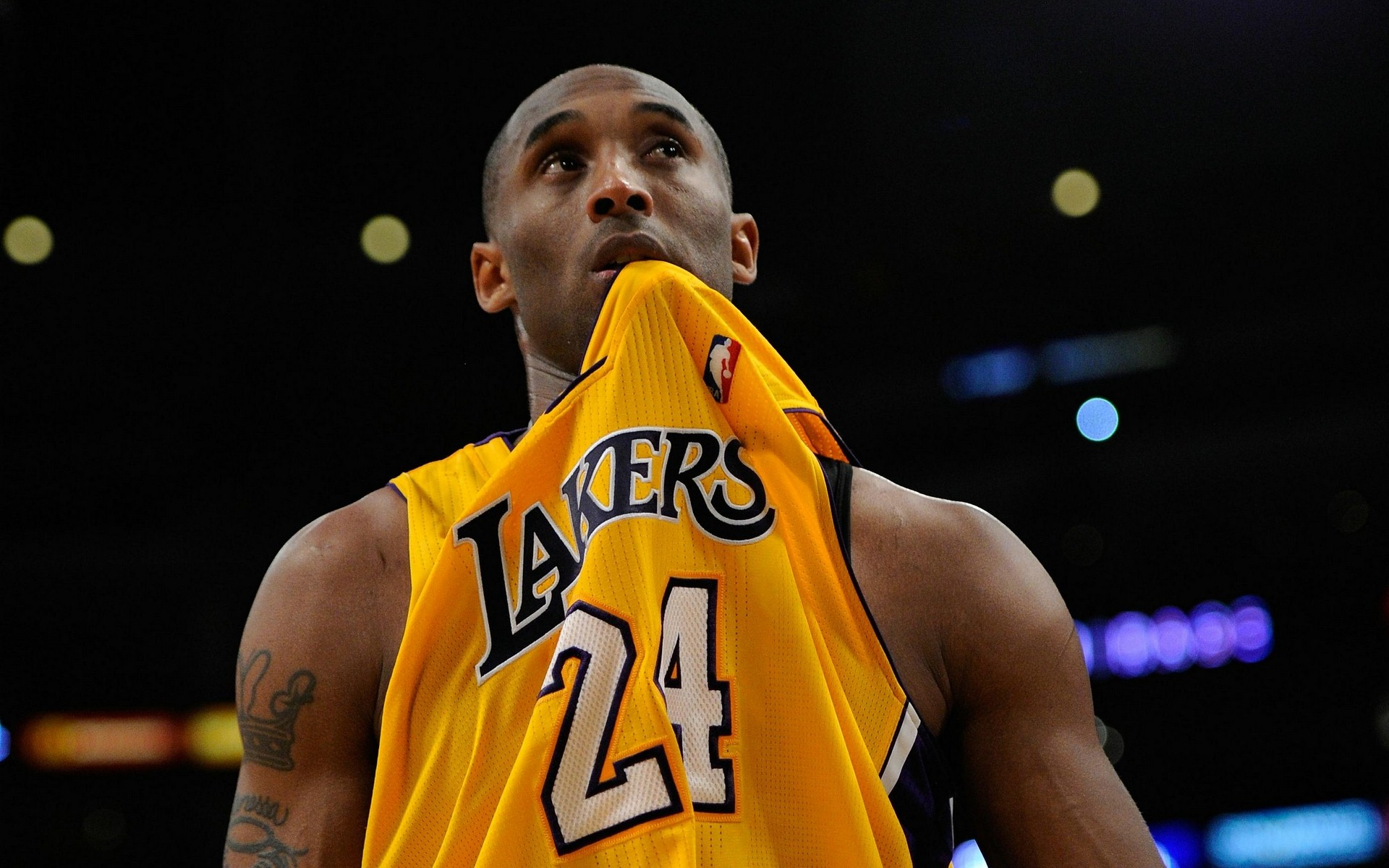 今天也先躺 今天也先躺